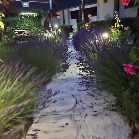 Gasthof Casa Maria 3*