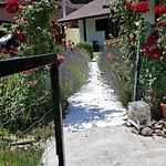 Casa Maria 3*