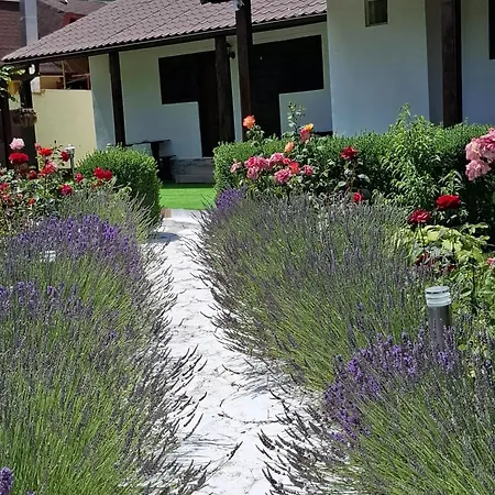 Casa Maria Guest house