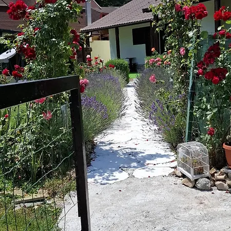 Casa Maria 3*
