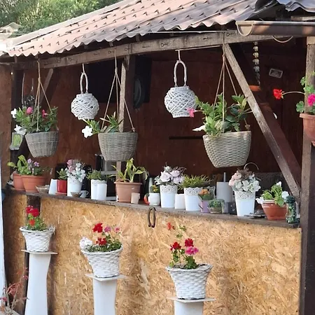 Casa Maria بيت ضيافة