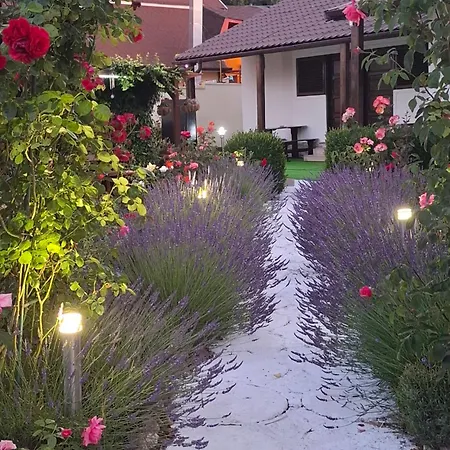 Casa Maria بيت ضيافة جوبيتر