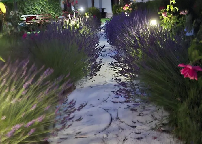 Guest house Casa Maria 3*